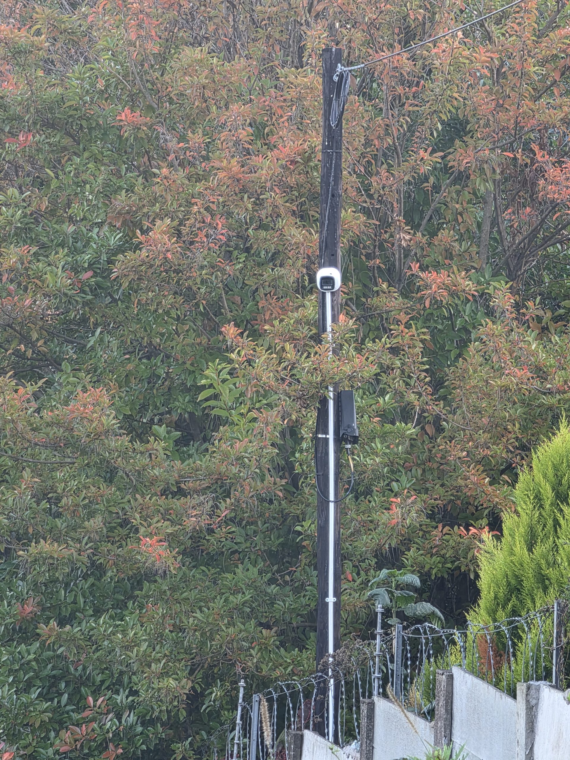 Outdoor CCTV camera installed on a security pole beside a perimeter fence