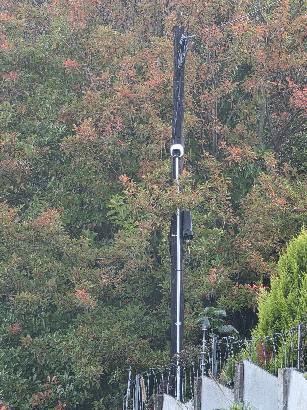 Outdoor CCTV camera installed on a pole